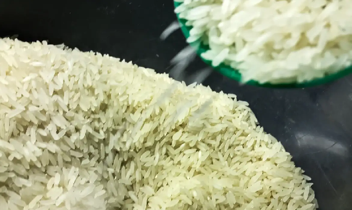 Conab vai doar sementes de arroz para agricultores familiares do RS